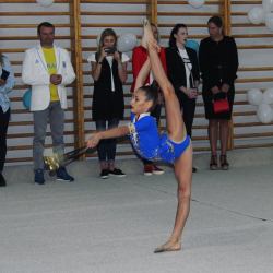 Sport ART - Львов, Художественная гимнастика